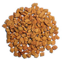 Fenugreek Seeds