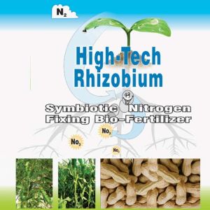 High Tech Rhizobium