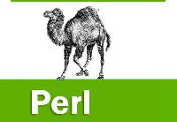 Perl Development Services