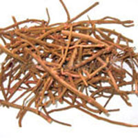 Herbal Roots - Majith