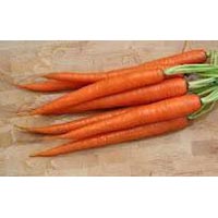 Carrots