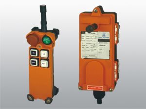 Remote Control System for Cranes