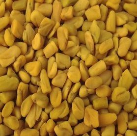 Fenugreek Seeds