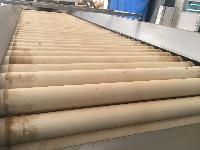 Potato Inspection Roller Conveyor