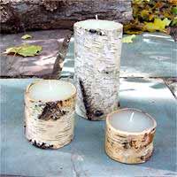 Pillar Birch Candles