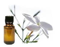 Jasmine Grandiflorum Oil