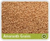 Amaranth Grains