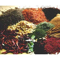 indian food spice
