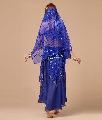 belly dance costume