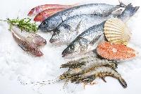 marine food