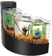 fish aquariums