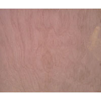 Mandana Red Sandstone