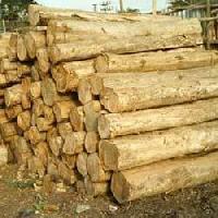 special ghana teak wood