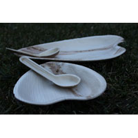 Eco Friendly Wedding Disposable Plates & Dinnerware