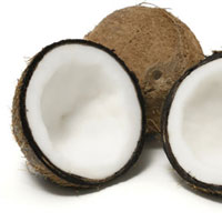 Coconut