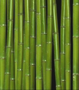 Chiwwa Bamboo Pole