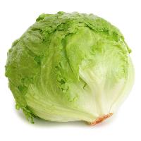 lettuce iceberg