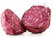 Red Cabbage