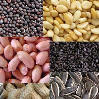 Oilseeds