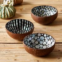 Coconut Shell Bowls