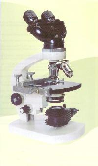 Scientific Laboratory Model