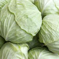 Cabbage