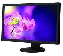 LCD Monitor