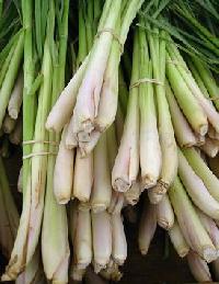 Lemongrass