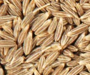 Cumin Seed