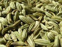 Fennel Seed