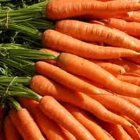 Fresh Carrot