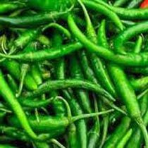 Fresh Green Chilli