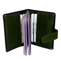 Credit Card Holder