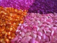 seed coating polymer