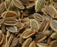 medicinal seeds