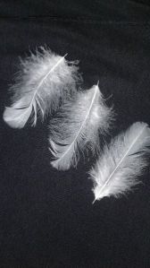 goose feather