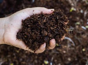 Organic Fertilizer