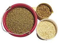 equine feed