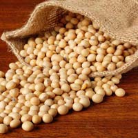 Organic Soybean Seeds