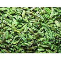 Fennel Seeds