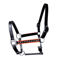 Leather Halter