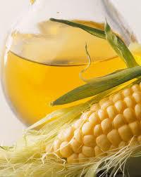 Corn Seed Oil