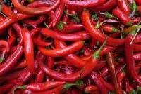 Chilli