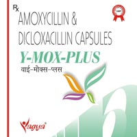 Y-Mox Plus Capsules