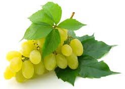 Fresh Grapes