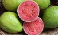 Red Guava