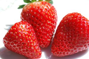 Strawberry Extract