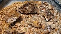 Gold Ore