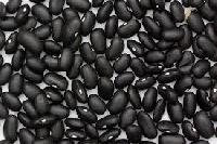 dried black beans