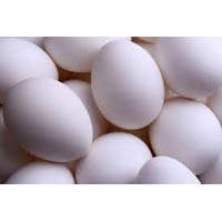 Fresh Chicken Eggs